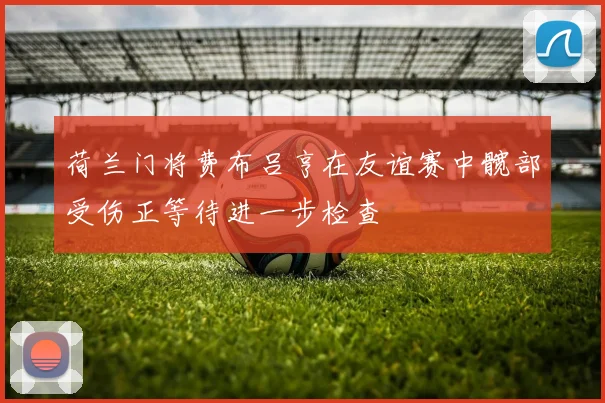 荷兰门将费布吕亨在友谊赛中髋部受伤正等待进一步检查